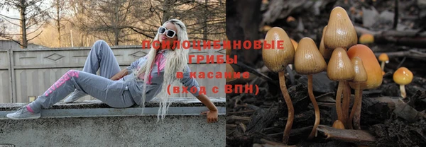 прущие крисы Лихославль